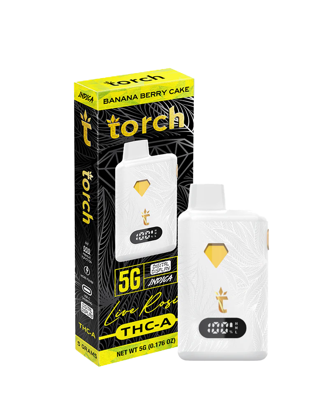 Torch